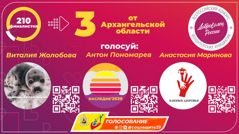 Голосование 13 ноября. Голосование dobro.ru. Соцзащита 29.РФ Архангельская область.